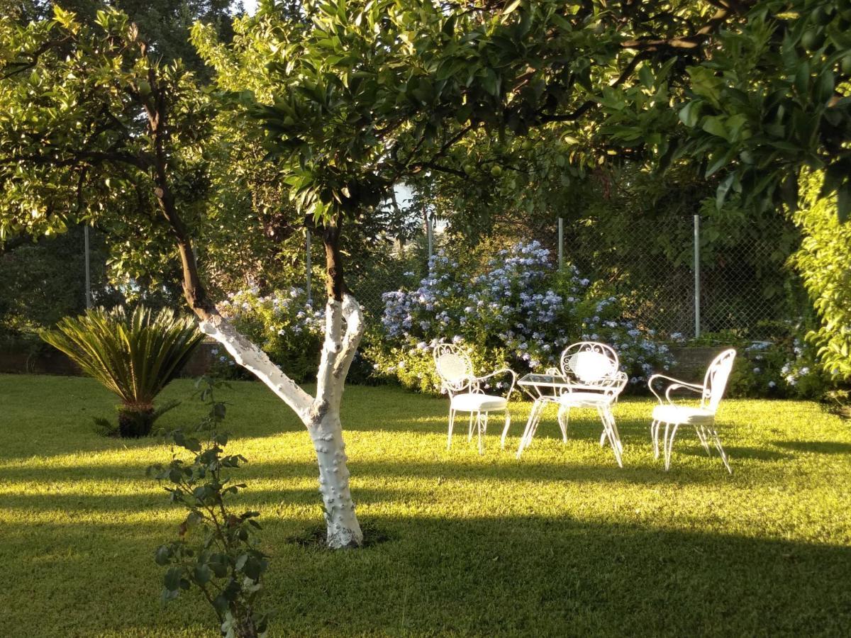 Casa Malu Boutique Apartments - No 2 Gouvia Zewnętrze zdjęcie